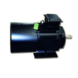 Low Speed Permanent Magnet Generator , Neodymium Magnetic Power Generator