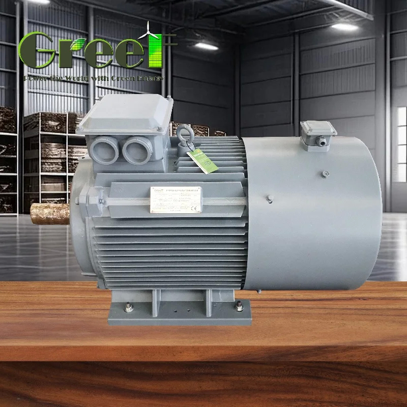 IP54 Permanente Magneet Elektromotor Generator Neodymium Magneet voor Consistente Prestaties