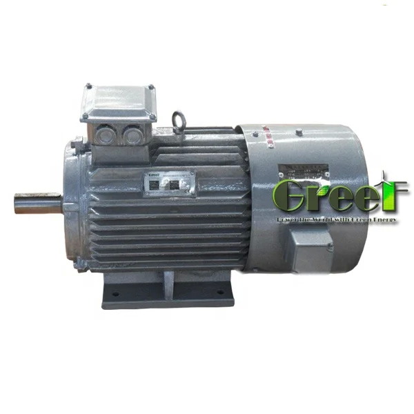 Koudgewalste siliciumplaat alternator met magneet / permanente magneet generator 95% efficiëntie