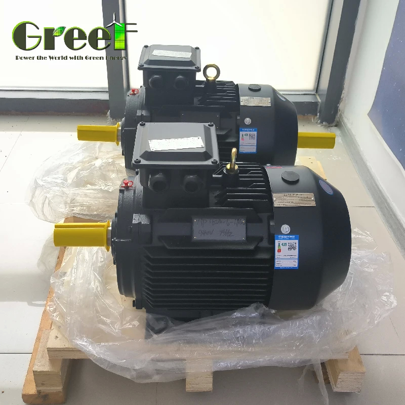 1500 tpm PM-motoren met 6 polen Generator Synchrone type Y Winding