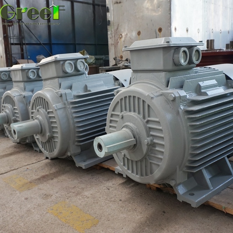 IP54 Magnetisch Aangedreven Generator Variërende Vermogensafgifte Afhankelijk van Grootte en Ontwerp Vrije Energie Met Koperen Stator Materiaal