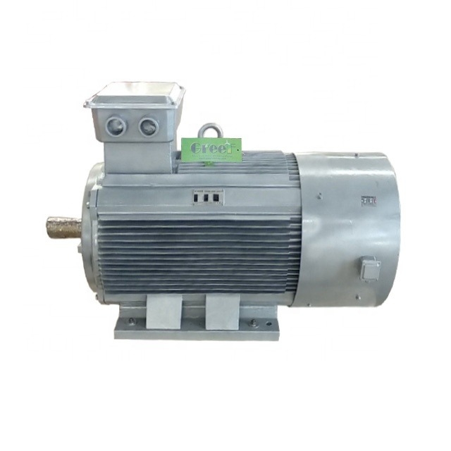 10kW permanente magneetgenerator aangepast nominale spanning 20rpm-3000rpm Nominale draaiende thuisgebruik Voor windturbine Waterturbine