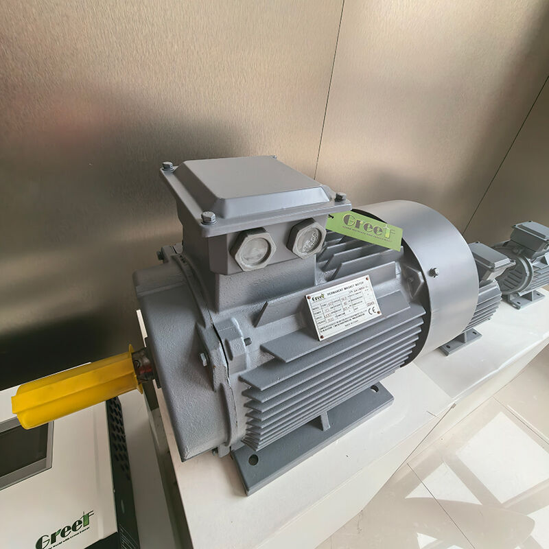 IP54-categorie: Permanente magneetmotor met flensmontage met 0-3000 RPM voor industriële toepassingen