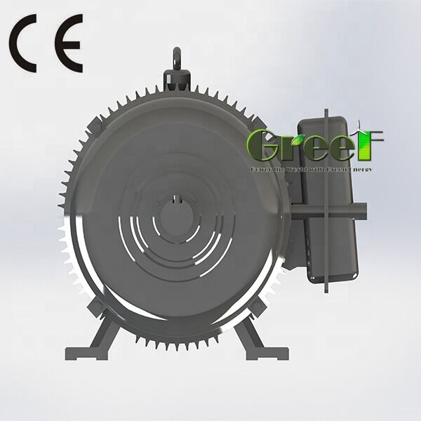 SKF lager borstelloze permanente magneetmotor met NdFeB-magneettype ideaal voor hernieuwbare energie-robotica en industriële aandrijvingen