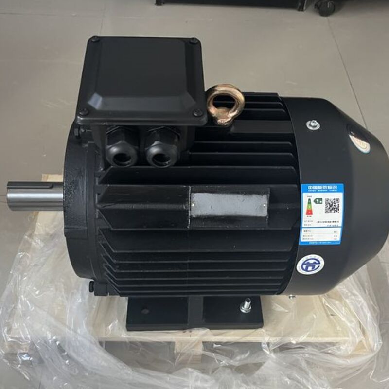6 polen Permanente magneetmotor Luchtgekoelde hoge efficiëntie voor pompen Ventilatoren Compressoren