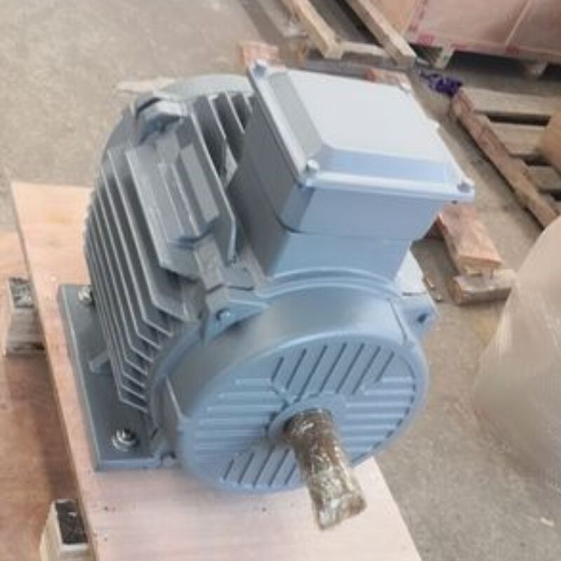 24V-1140V borstelloze permanente magneetmotor met IP54-classificatie geoptimaliseerd voor automatiseringsmachines en energieoplossingen