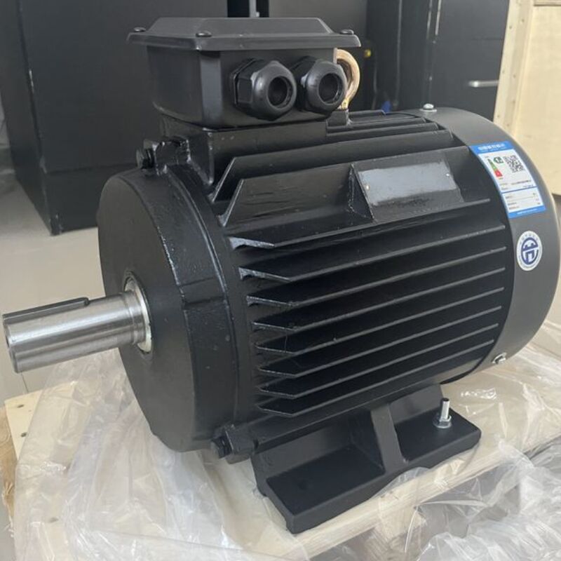 Aanpassing Aantal polen Magnetische motor Spanning 24V 1140V Compatibel met een breed scala aan industriële apparatuur