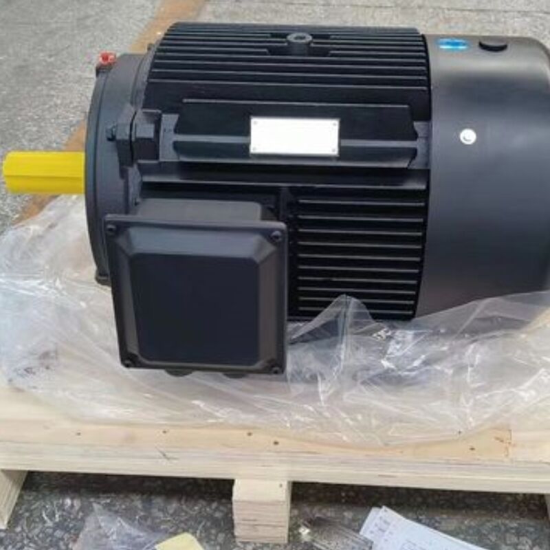 IP54 permanente magneetmotor met koudgewalst siliciumstaalplaat, ijzeren kern, ventilator, water en zelfkoeling voor industriële prestaties