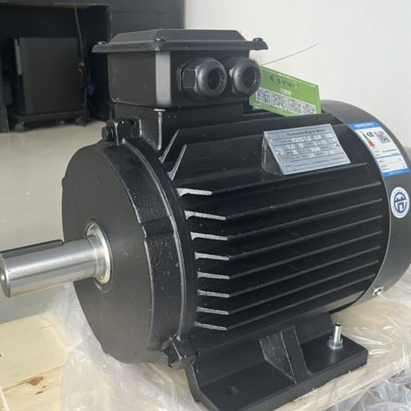 500W tot 5000KW Permanente magneetmotor Aanpassing Spanningsbereik 20 tot 3000 RPM Ideaal voor industriële toepassingen