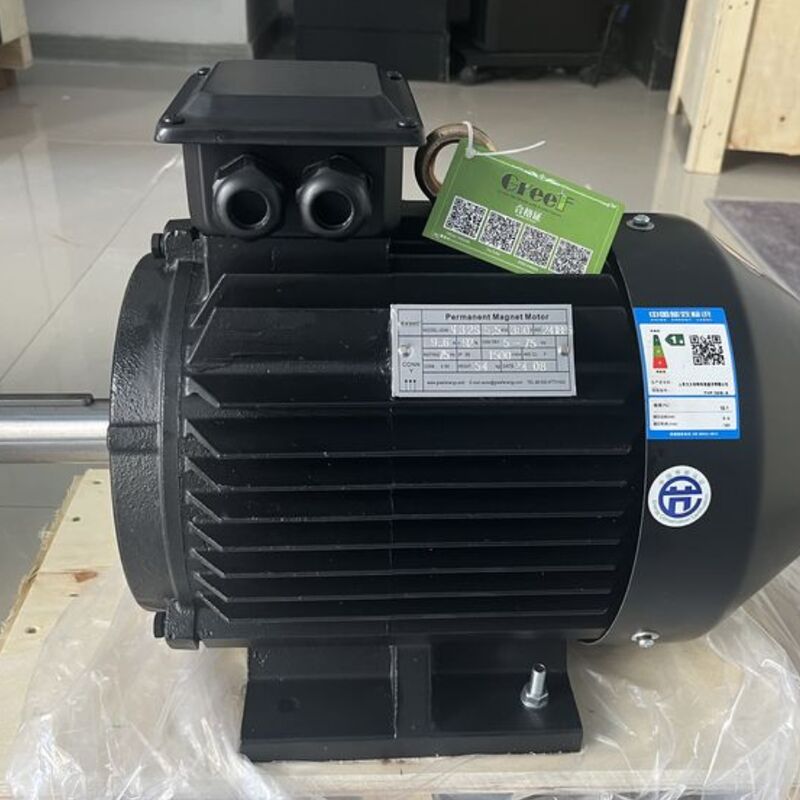 Efficiëntie hoger dan 95 procent Magnetische motor Nominaal vermogen 750w 5Mw Ontworpen voor prestaties in productie en verwerking