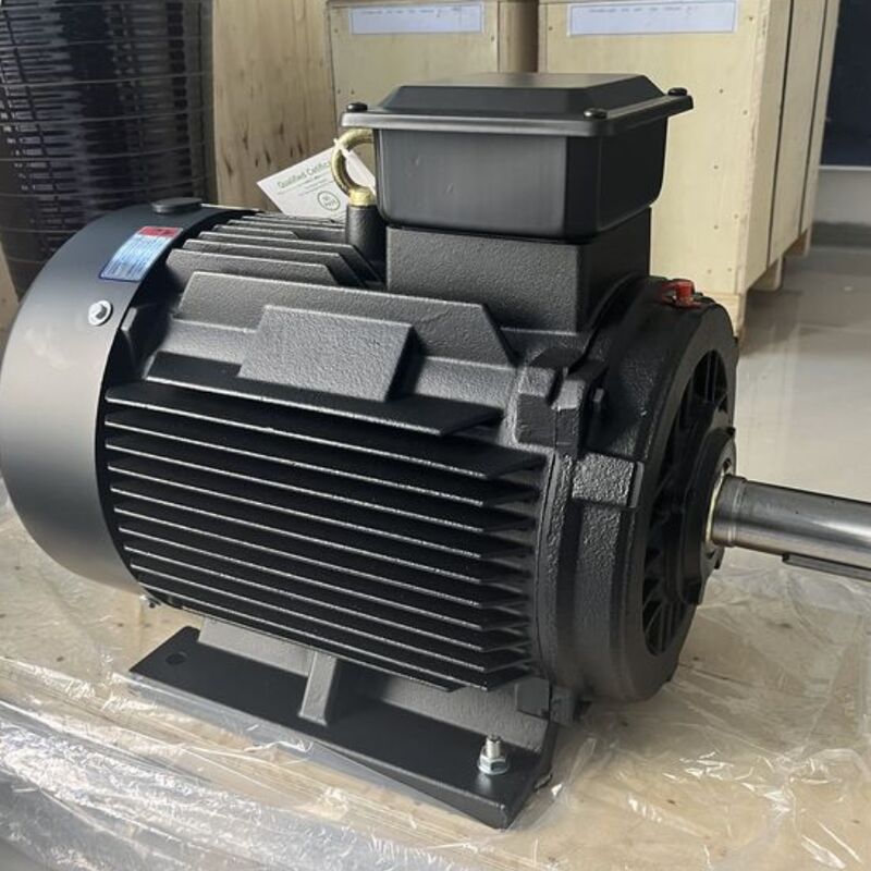 Hoge-efficiëntie permanente magneetmotor met 100Mohm Min isolatieweerstand, aanpasbare palen en SKF-lagers