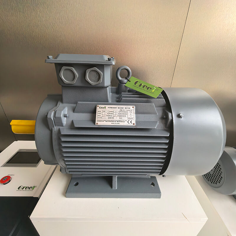 12VAC tot 1140VAC Permanente magneetgenerator met ventilator water zelfkoeling en IP54 classificatie