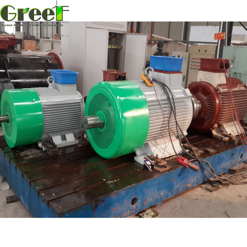 Efficiëntie hoger dan 95 procent Magnetische motor Nominaal vermogen 750w 5Mw Ontworpen voor prestaties in productie en verwerking