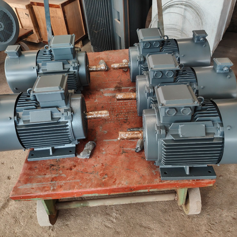 Permanente magneet synchrone motor met een laag temperatuurstijging met isolatie van klasse F en IP55-bescherming