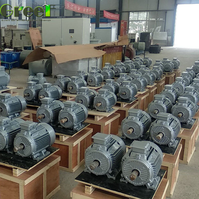 1MW 380Vac Vrije Energie Laag Startmoment Hydroturbine Generator 5MW PMG